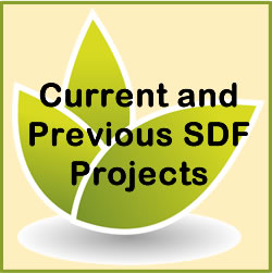 SDF Projects