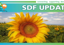 SDF Updates 2008-2015