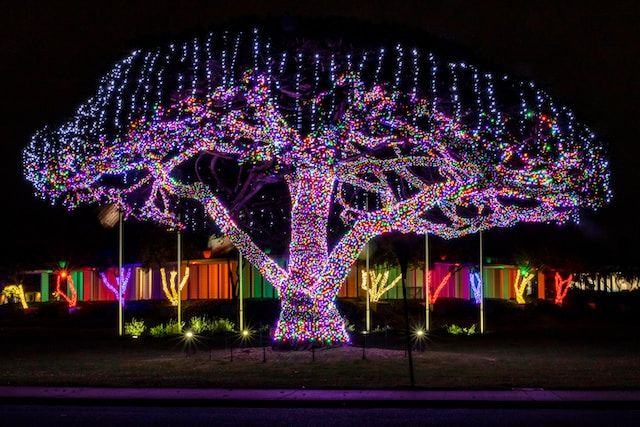 Coloured lights on tree