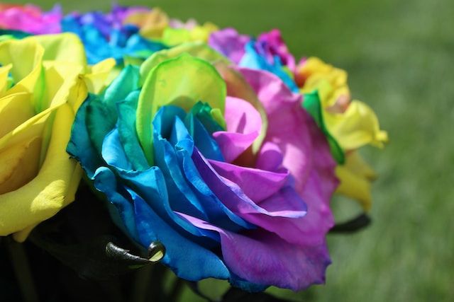 Multicoloured flower petals