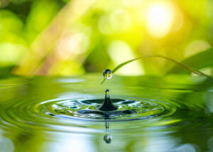 Call for Contributions 2026